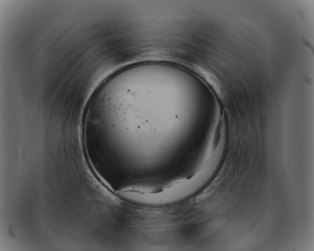 X0000091661334200709131502