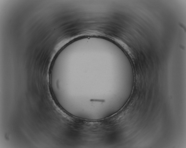 X0000091661335200709131502