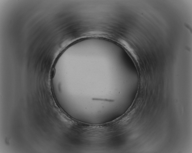 X0000091661336200709131503