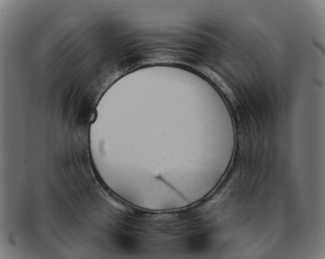 X0000091661337200709131503