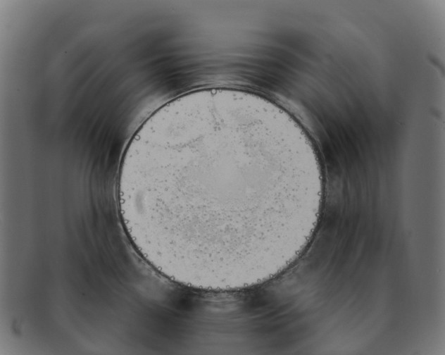 X0000091661338200709131503