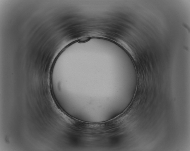 X0000091661339200709131503