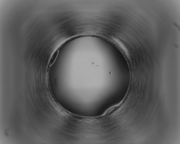 X0000091661340200709131503