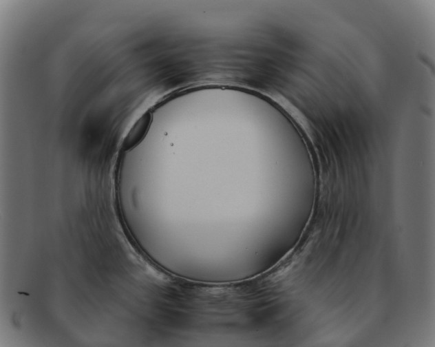 X0000091661341200709131503