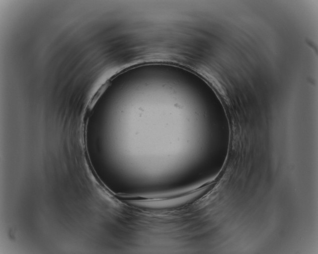 X0000091661342200709131503