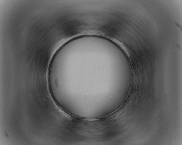 X0000091661343200709131503