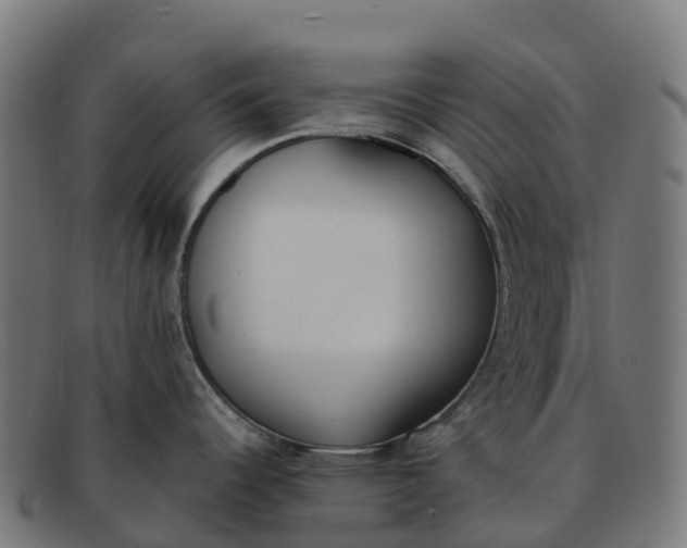 X0000091661344200709131503