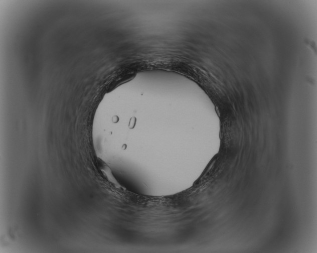 X0000091661345200709131502