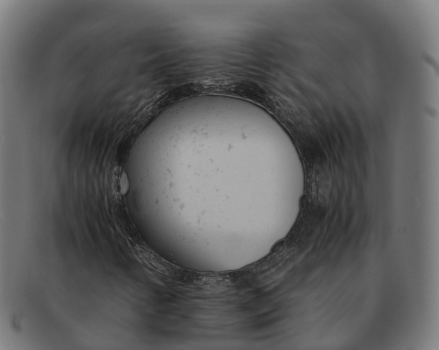 X0000091661346200709131502