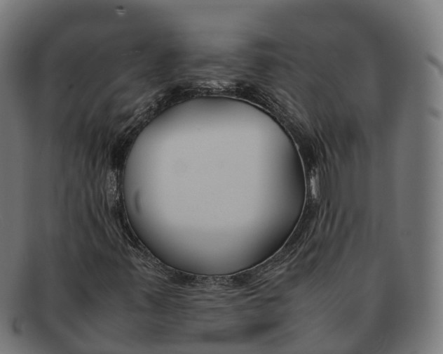 X0000091661347200709131502