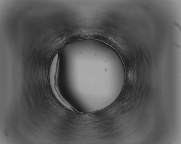 X0000091661348200709131502