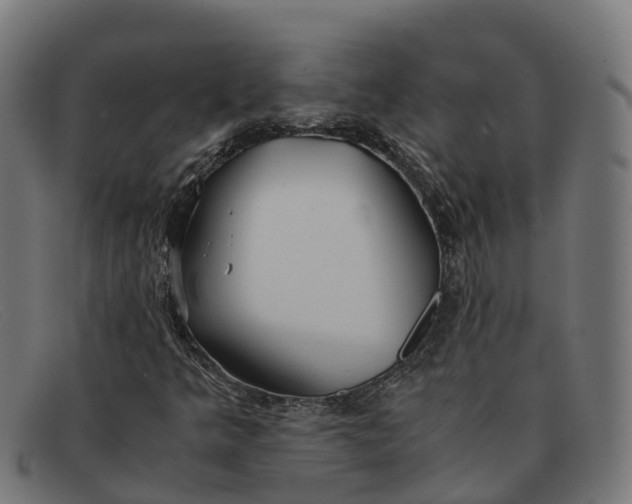 X0000091661349200709131502