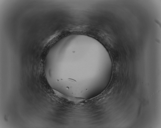 X0000091661350200709131502