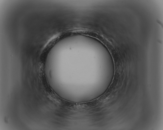 X0000091661351200709131502