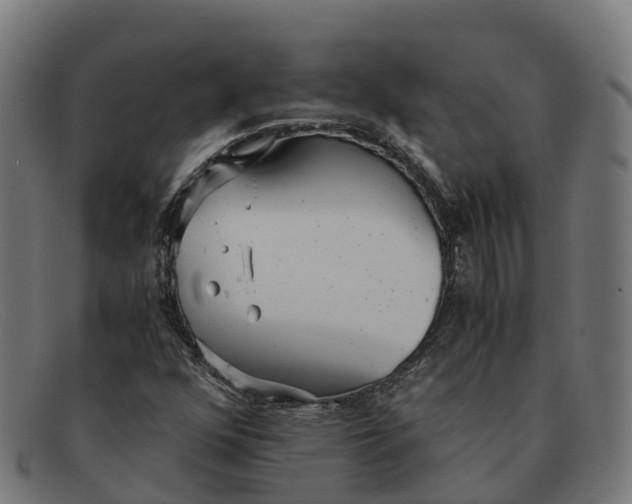 X0000091661352200709131502