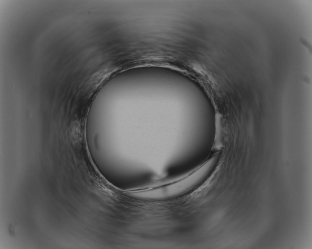 X0000091661353200709131502