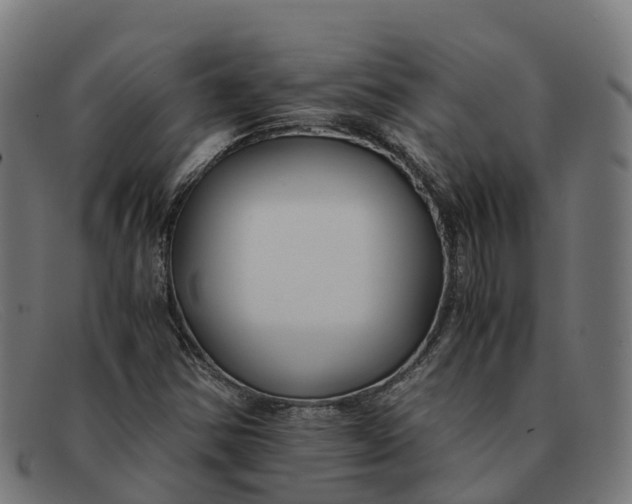 X0000091661354200709131502