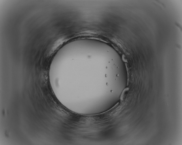 X0000091661355200709131502