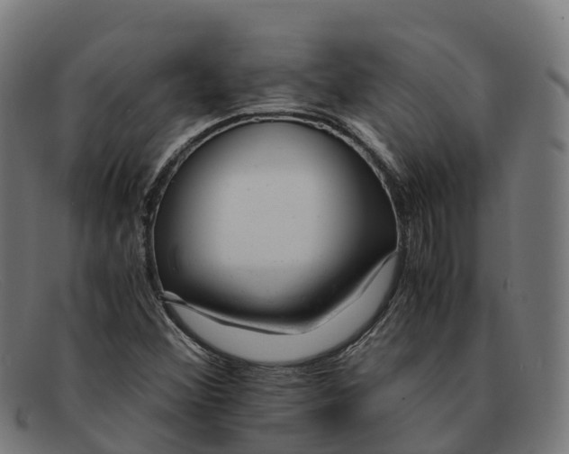 X0000091661356200709131502