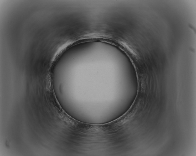 X0000091661358200709131502