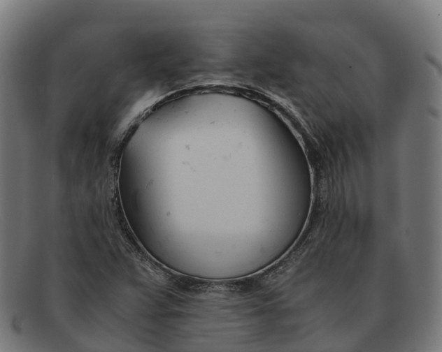 X0000091661359200709131502