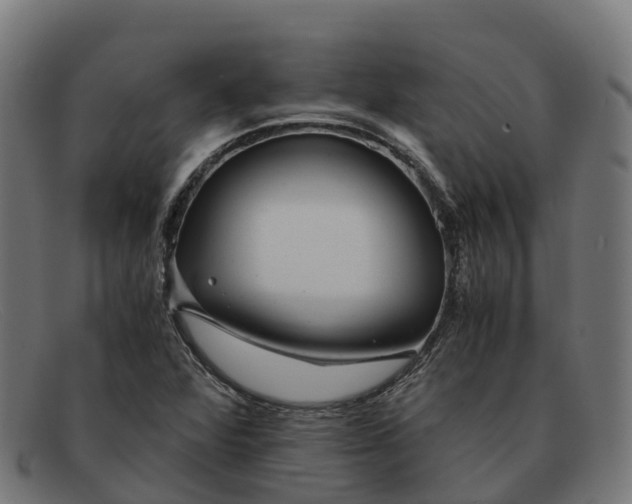 X0000091661360200709131502