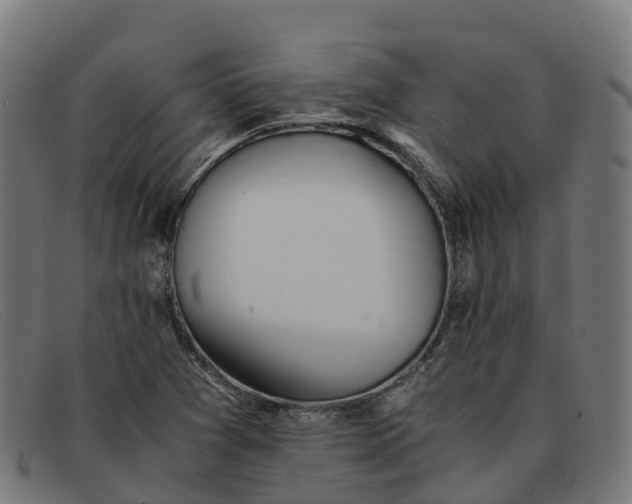 X0000091661361200709131502