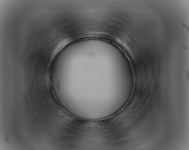 X0000091661362200709131502