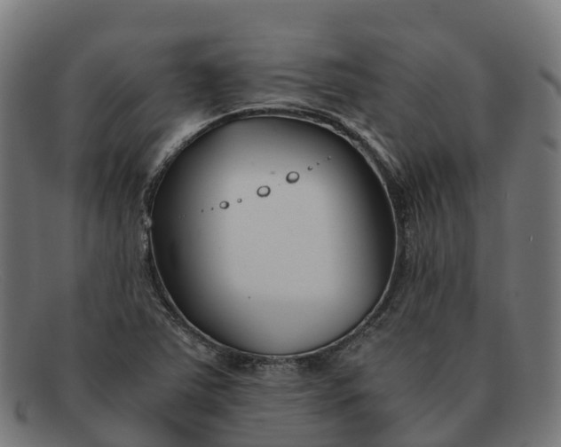 X0000091661363200709131502