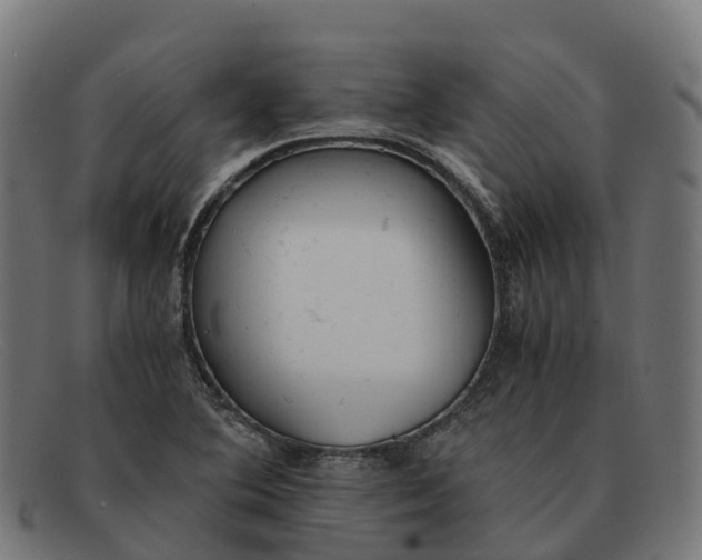 X0000091661364200709131502