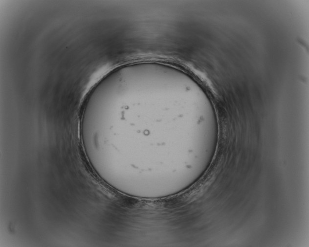 X0000091661365200709131502