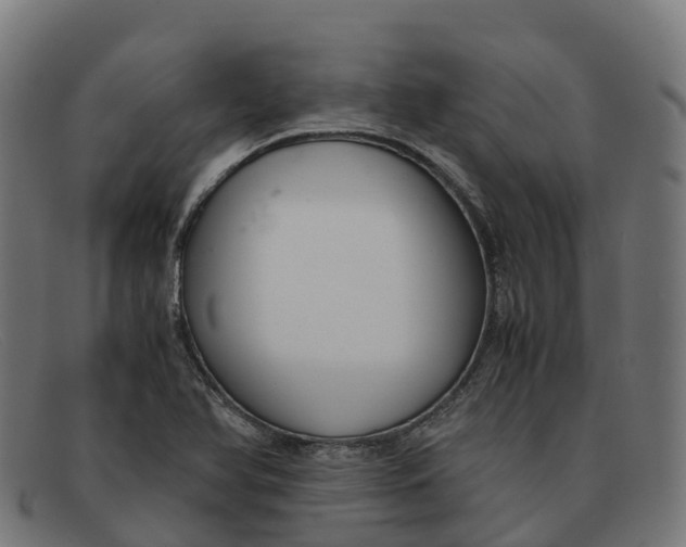 X0000091661366200709131502