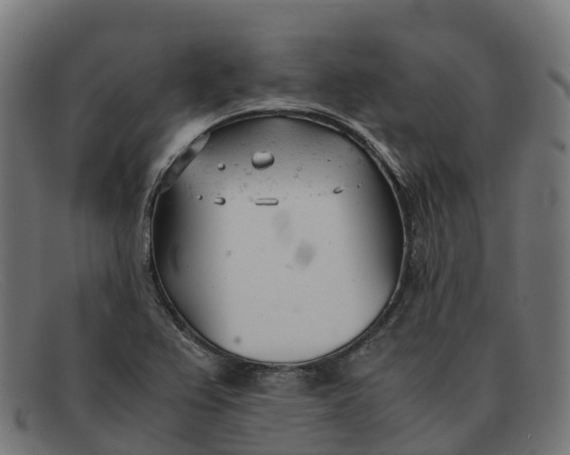 X0000091661367200709131502