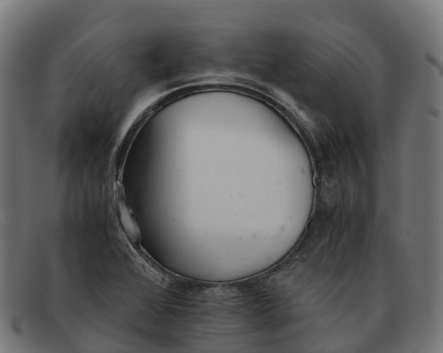 X0000091661368200709131502