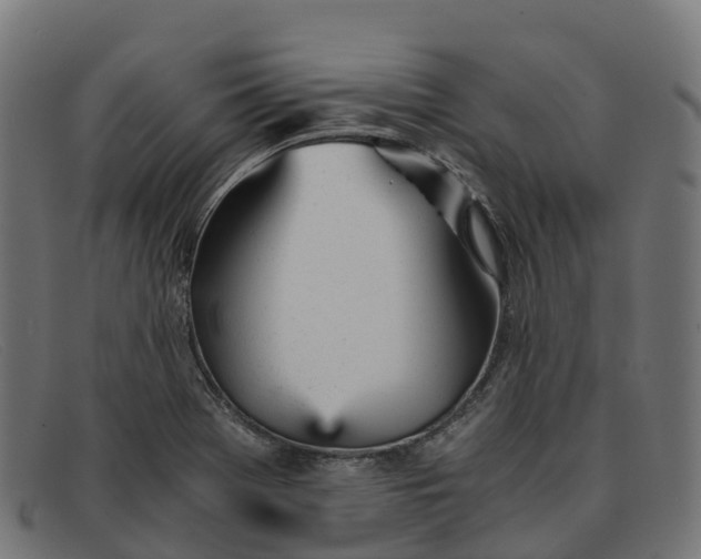 X0000091661369200709131502