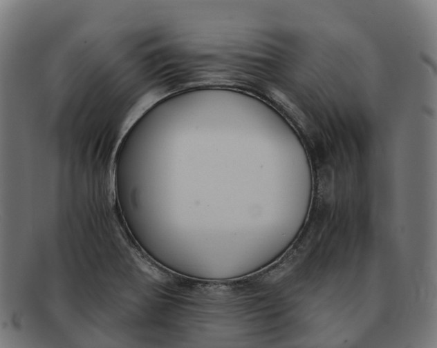 X0000091661370200709131502