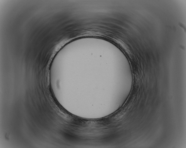 X0000091661371200709131502