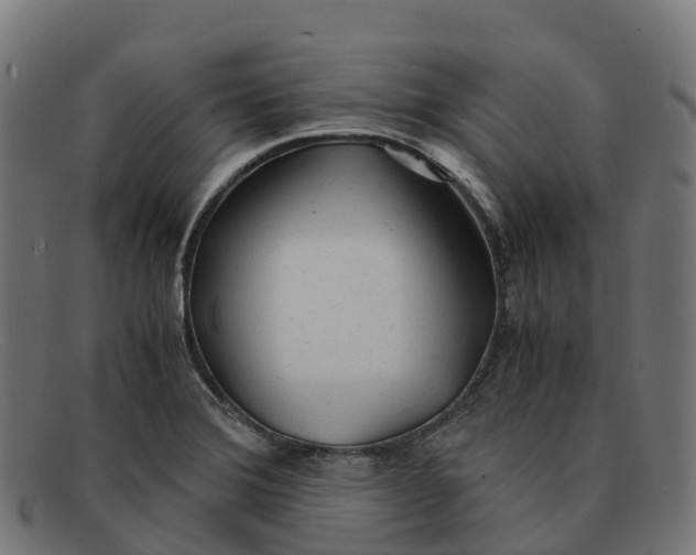 X0000091661372200709131502