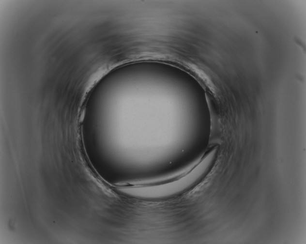 X0000091661373200709131502