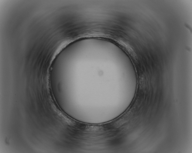 X0000091661374200709131502