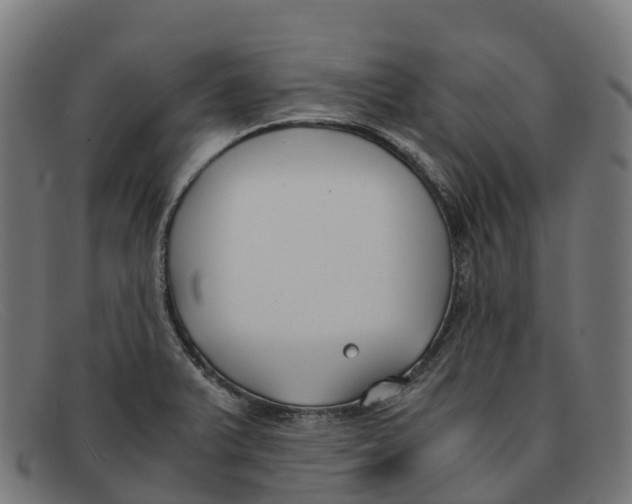 X0000091661375200709131502