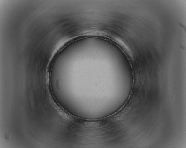 X0000091661376200709131502