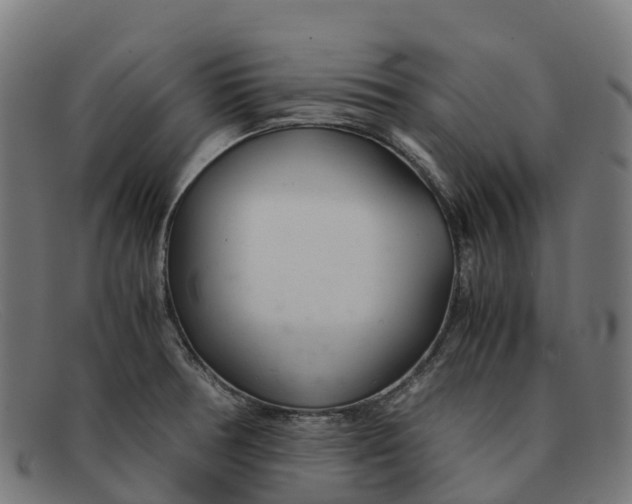 X0000091661378200709131502