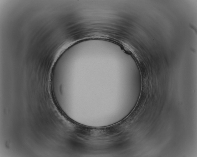 X0000091661379200709131502