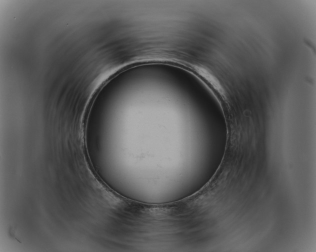 X0000091661380200709131502