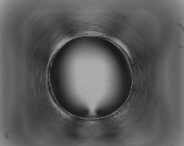 X0000091661381200709131502