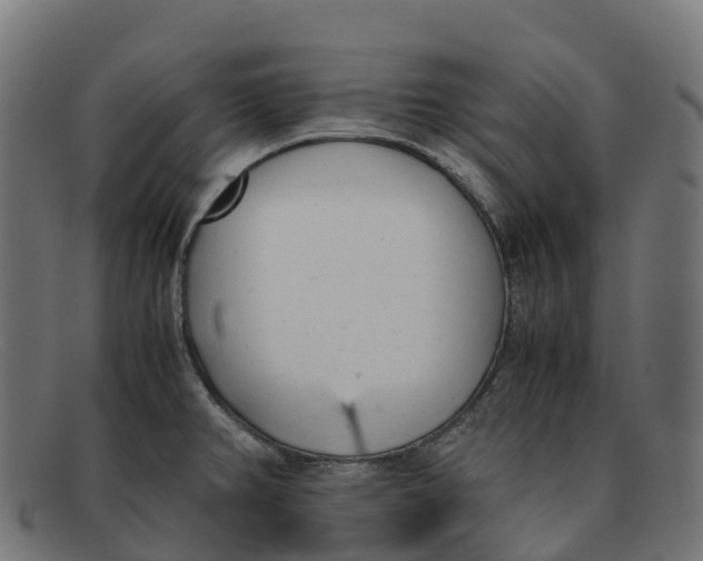 X0000091661382200709131502