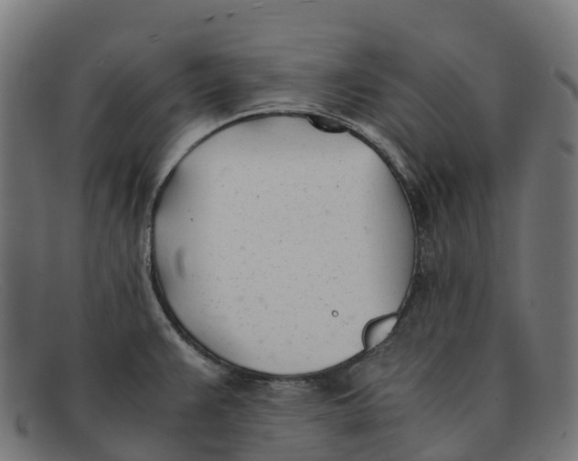 X0000091661383200709131502