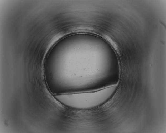 X0000091661384200709131502