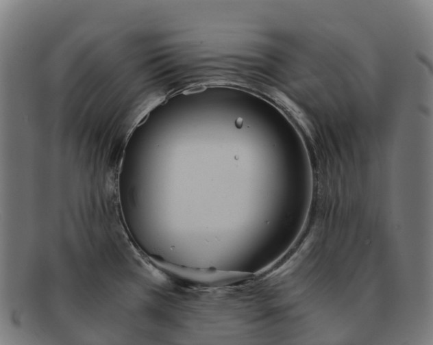 X0000091661385200709131502